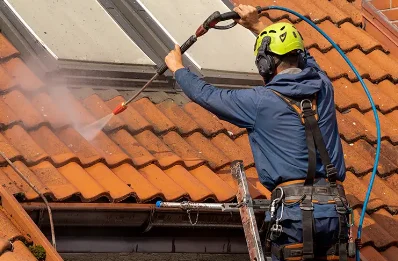Démoussage et hydrofuge de toiture au Triadou